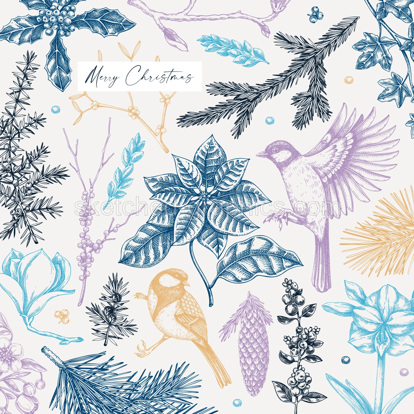 Merry Christmas card design. Winter flowers, conifer trees, birds sketches. Winter holiday flyer template. Hand drawn vector illustration. NOT AI generated Illustration
